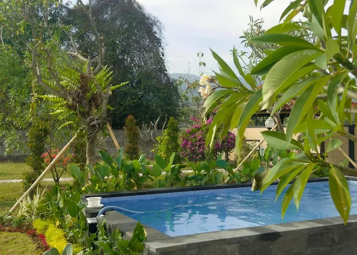 Bagus Ayu Lovina Panji